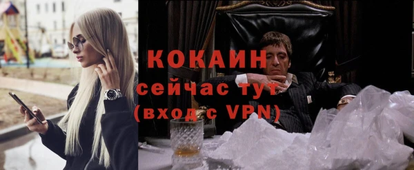 дурь Арсеньев