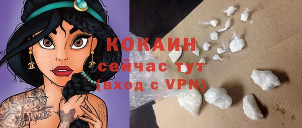 дурь Арсеньев