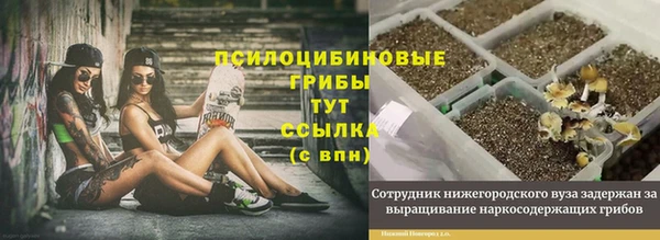 apvp Армянск